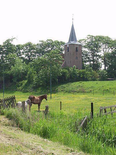 In Friesland heet een historische woonheuvel “terp”, in Groningen “wierde”. Op de foto terpdorp Raard ten oosten van Dokkum.