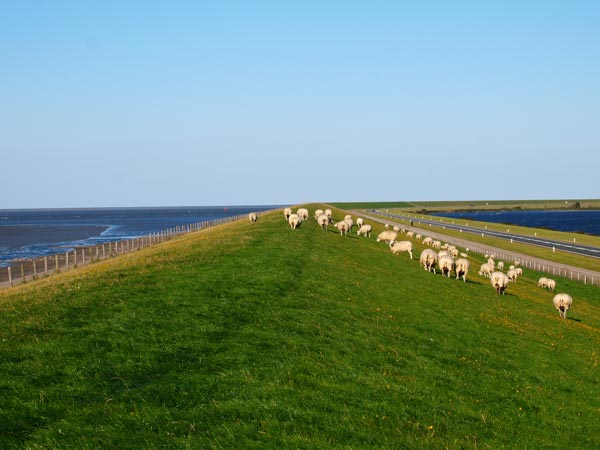 Markant Friesland Cruise: de afsluitdijk tussen het Lauwersmeer (rechts) en de Waddenzee. 