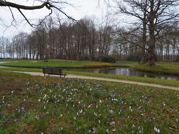 Krokussen in de door Lucas Pieters Roodbaard (1782-1851) ontworpen tuin van Landgoed Staniastate.