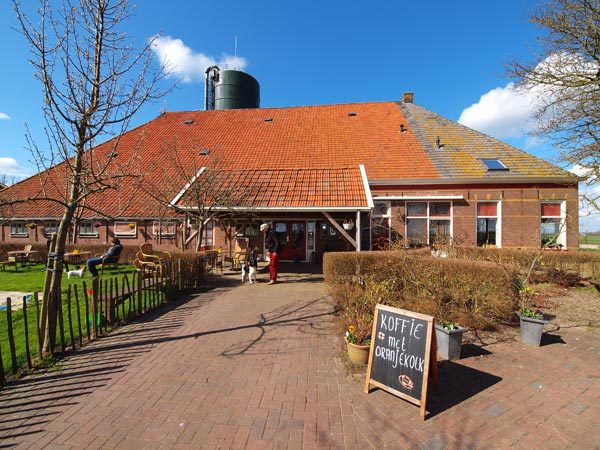 De boerderijwinkel Boereiis is een populair rustpunt voor fietsers op de route Terherne-Akkrum. Koffie met oranjekoek, een Friese bakkersspecialiteit, kun je er ook krijgen.