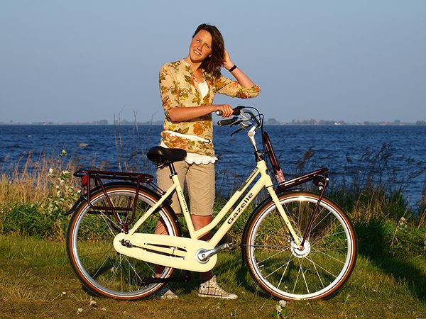 City bike: Gazelle Heavy Duty NL.