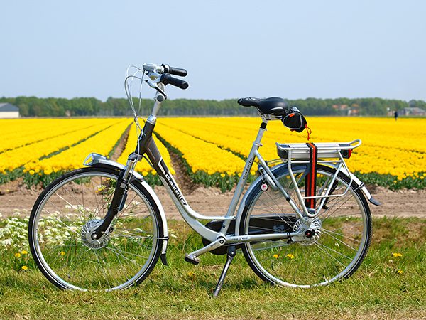 E-bike: Gazelle Orange Excellent Innergy.