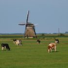 Biogasproductie in Fryslân flink omhoog
