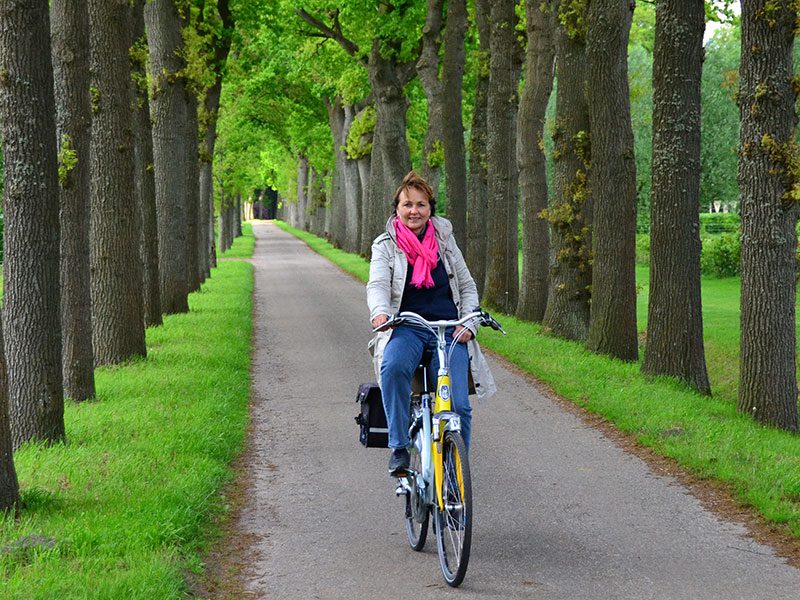 Kenmerkend voor landgoedpark De Eese: schitterende lanen.