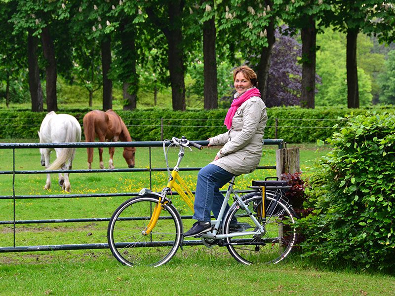 Friese paarden op landgoed De Eese. 