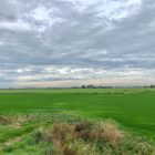 De Greidhoeke — het strakst gemaaide en grootste grasveld van Europa — verrast met kleinigheden