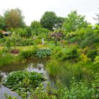 De Tuin van Friesland: De Oevertuin in De Blesse!