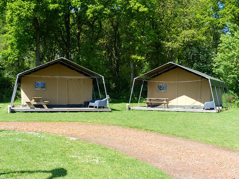 In de provincie Friesland is maar één camping met veel lodgetenten, de Geele Bosch (www.degeelebosch.nl/) in Oldeholtwolde, vlak bij Parklandschap Oranjewoud bij Heerenveen. Lucie en Johan Wijnsma hebben op het erf van hun melkveehouderij en ijsmakerij 15 safaritenten staan die aangeboden worden via FarmCamps (www.farmcamps.nl). Ook deze tenten, de eenvoudigere in de serie, komen van Luxetenten.com in Emmeloord. De glamptenten van De Geele Bosch hebben geen eigen sanitaire voorzieningen, omdat de boerderijcamping over een luxe centraal douche- en toiletgebouw beschikt.