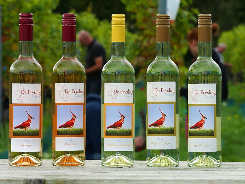 Een gekleurde kievit siert de etiketten op de wijnflessen van De Frysling. 