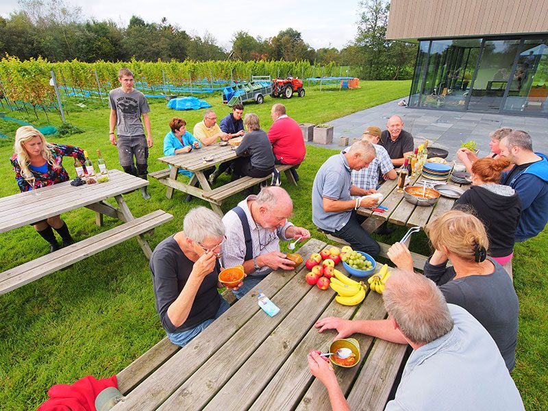 De druivenplukkers bijeen voor het middagmaal in wijngaard De Frysling op donderdag 2 oktober 2014. Gezelligheid troef in het noorden van La Frise. 