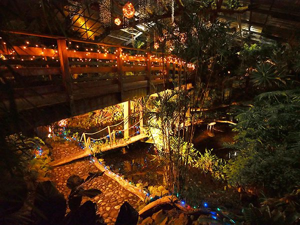 Duizenden lampjes en kaarsen verlichten het tropisch oerwoud in de kassen van De Orchideeën Hoeve. 