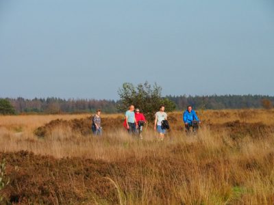 Felle kritiek op eenzijdige kijk Fries bestuur op toerisme: landrecreatie telt niet mee