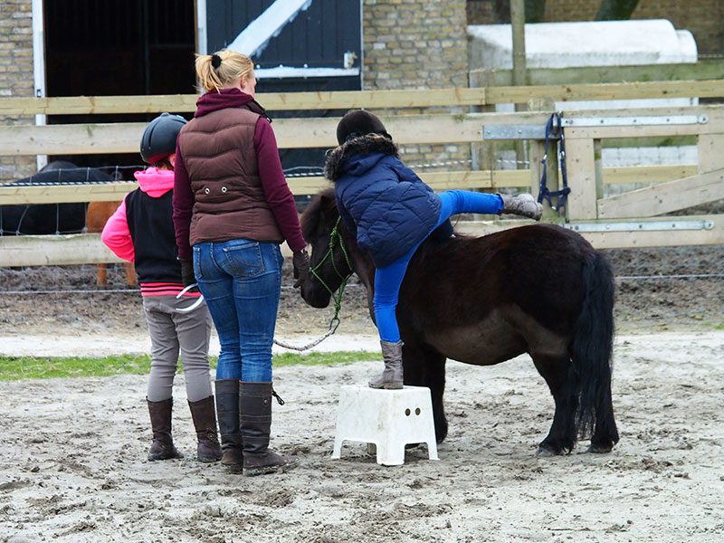 Hoe ga je met een koppige Shetland pony om? Kinderen ontdekken het zelf, bij Femke in de buitenbak.