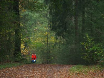 Fietsen in het Drents-Friese ‘regenwoud’: elke kilometer een verrassing