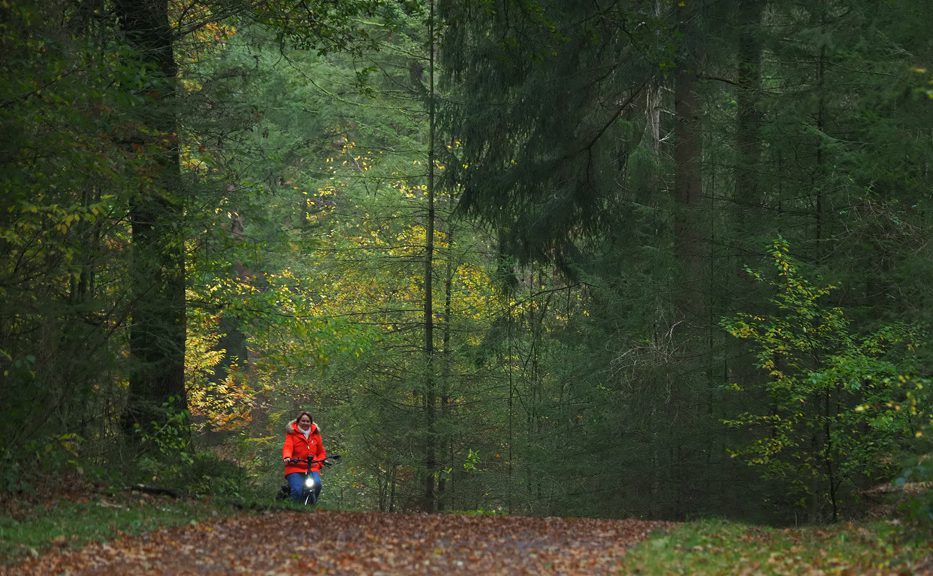 Fietsen in het Drents-Friese ‘regenwoud’: elke kilometer een verrassing