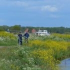 Friese boerderijenroute van start in gemeente Weststellingwerf