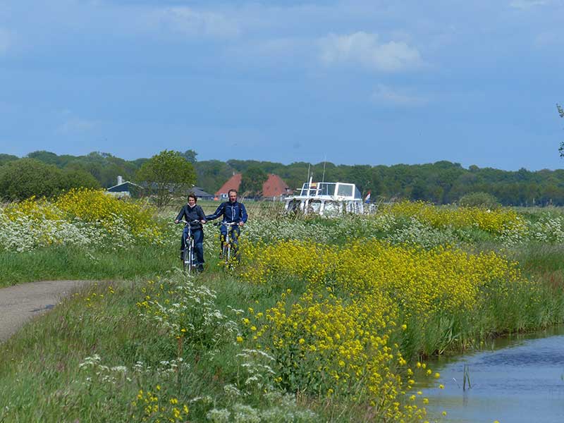 Agrariërs in de Groote Veenpolder, aan de rand van natuurgebied Rottige Meente in Weststellingwerf, hebben hun staldeuren opengezet in een app van IZI.Travel.