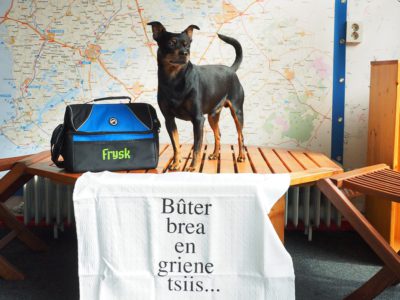 Friese taalorganisatie geeft boek uit om honden Fries te leren…..