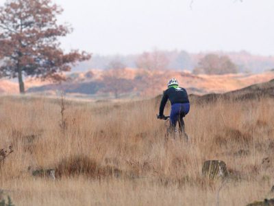 Friese Wouden topspot voor mountainbikers