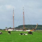 Frieslands highlight nummer één: koeien in de wei