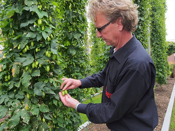 Frysk Fietsbier wordt exclusief voor Friesland Holland gebrouwen bij Us Heit in Bolsward (brouwerij met een eigen hoptuin!) onder supervisie van meesterbrouwer Aart van der Linde. Meer info: https://www.friesnieuws.nl/1603 