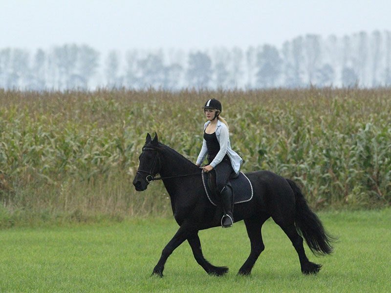 Femke (12) in gestrekte draf op Maeike (18).