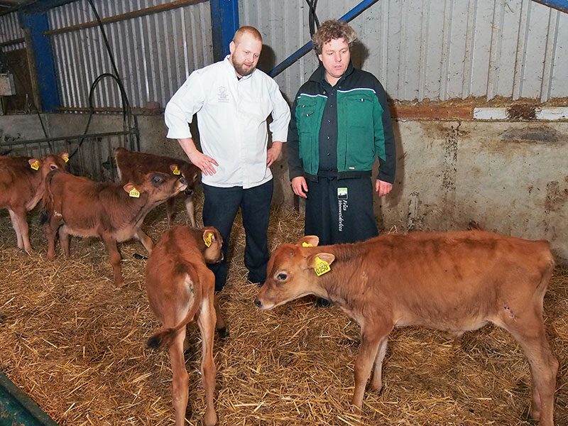 Chefkok Willem Schaafsma, boerenzoon uit Driezum, en veehouder Steven van der Zee in de stal met Jersey kalfjes. Schaafsma, eigenaar van restaurant Eindeloos in Leeuwarden, werd maandag 27 oktober 2014 uitgeroepen tot Meest Markante Horecaondernemer in de regio Friesland 2014-2015.