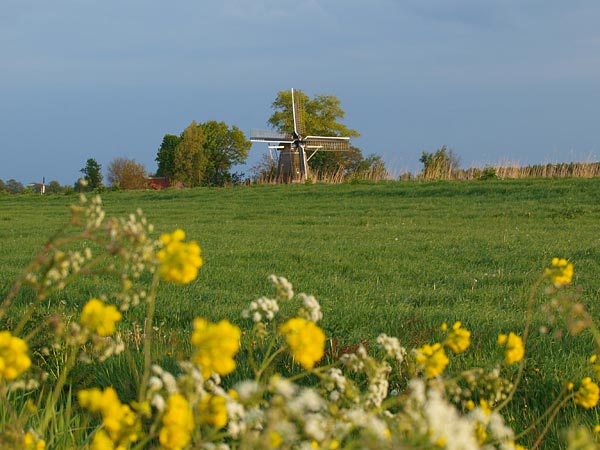 Natuur en cultuur in de Rottige Meenthe (Nijetrijne, gemeente Weststellingwerf, Zuid-Friesland).