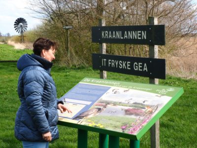 Het lage midden van Friesland: groene woestijn met vreemde natuurmonumenten