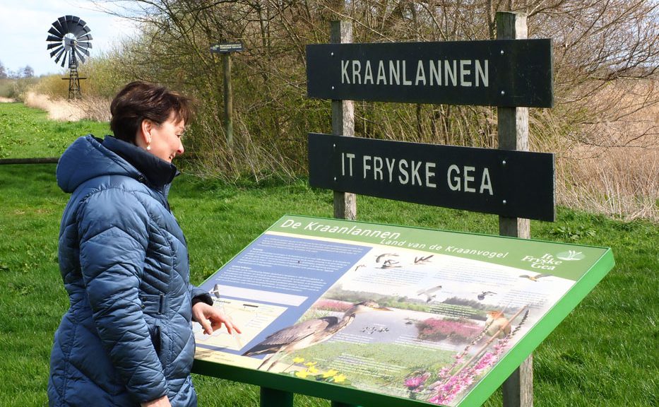 Het lage midden van Friesland: groene woestijn met vreemde natuurmonumenten