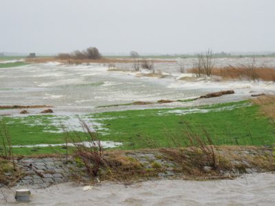 Het water stroomt over de dijken als toeristen van het Rijsterbos en de Rembrandt van Friesland genieten