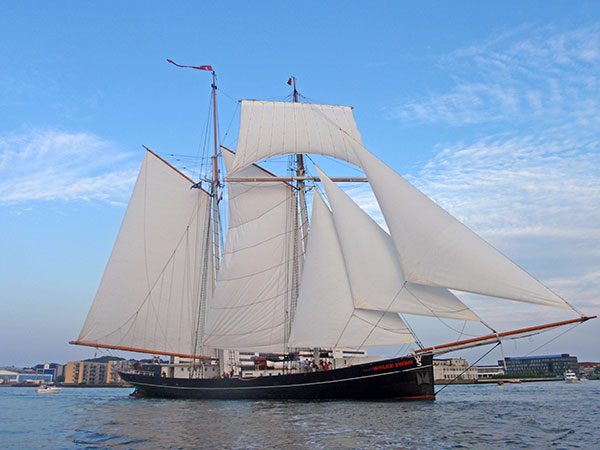 De Wylde Swan is de grootste tweemast-topzeilschoener ter wereld en een geduchte deelnemer aan Tall Ships Races. De Wylde Swan won onder andere al de Tall Ships Races in 2011 en de Friendship Trophy. Op zee biedt de Wylde Swan trainingen voor jongeren. In de haven is de Wylde Swan een locatie voor recepties, feesten en andere evenementen tot 120 personen.