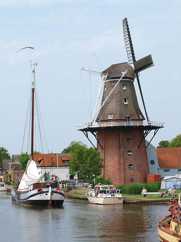 Burdaard Markant Friesland