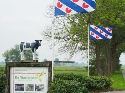 Moeten schoolkinderen straks écht het Wilhelmus én het Fries volkslied kennen?