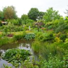 Mooiste tuin van Friesland in TV-programma Binnenste Buiten