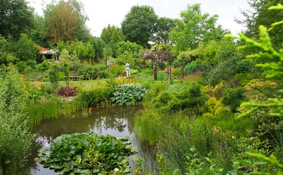 Mooiste tuin van Friesland in TV-programma Binnenste Buiten