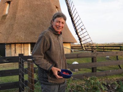 Nieuwe fiets- en wandelpaden, gerestaureerde molens en nóg meer natuur