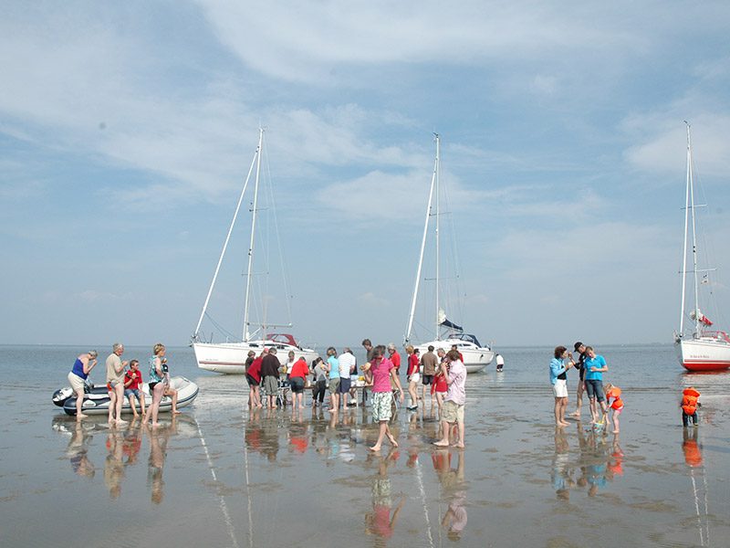 Wadzeilers worden gemaand zeehonden en andere dieren zo min mogelijk te storen als ze droogvallen.