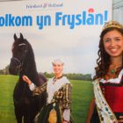 Provincie geeft subsidie voor marketing Friesland Holland-arrangementen die Merk Fryslân vlak voor beurs van provinciesite haalt.....