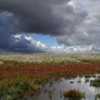 Seedykstertoer centraal in Unesco Werelderfgoed Waddenzee