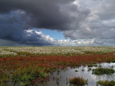 Seedykstertoer centraal in Unesco Werelderfgoed Waddenzee