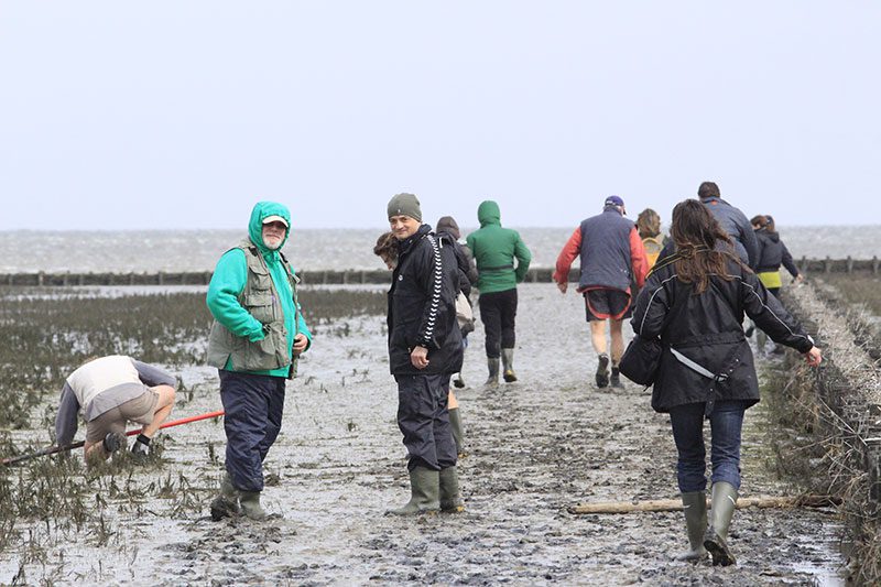 Arjan Berkhuysen, directeur van de Waddenvereniging: “Wat ons betreft is iedereen een keer op het wad geweest om te ervaren wat het zo bijzonder maakt.” De foto’s werden gemaakt tijdens een persreis voor Italiaanse en Spaanse journalisten, mei 2013 georganiseerd door het bureau voor toerisme van Fryslân, Friesland Holland in Wolvega, op verzoek van het Nederlands Bureau voor Toerisme en Congressen, tegenwoordig NBTC Holland Marketing. 