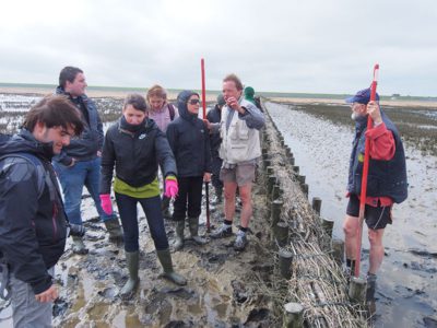 Staatssecretaris Sharon Dijksma over Werelderfgoed Waddenzee: Kinderen kans geven om kennis te maken met de meer dan 10.000 verschillende planten en dieren