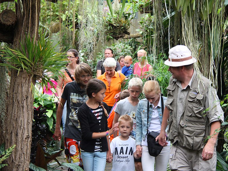 Pura Vida-expeditie in de Orchideeën Hoeve in Luttelgeest (Noordoostpolder): Samen met junglegids op reis door de tropen.