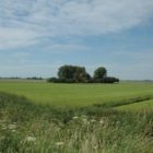 Tip: Genieten van het Friese landschap