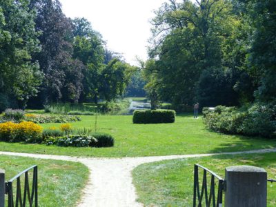 Tip: Groenmarkt in Tropische Kas Beetsterzwaag