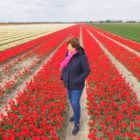 Tulpenroute ten zuiden van Friesland wordt 16 april geopend