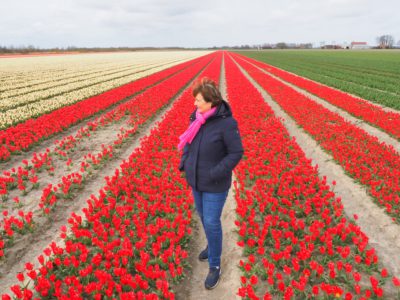Tulpenroute ten zuiden van Friesland wordt 16 april geopend