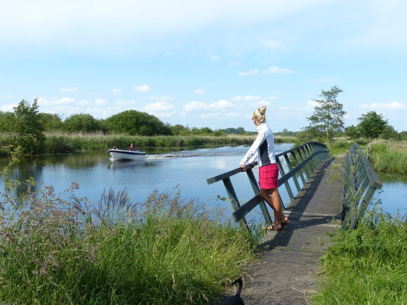 Weststellingwerf, het park van Friesland, is het hele jaar een goed toegankelijk en boeiend wandelgebied. De variatie in natuur, cultuur en landschap is er erg groot.