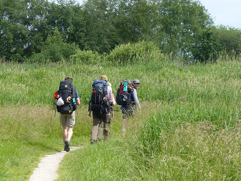 Nederland telt 6,6 miljoen actieve wandelaars. Het aantal wandelsporters stijgt nog steeds. Ze geven tussen de 30 en 40 euro per dag uit. Gemiddeld lopen wandelaars tussen de 10 en 25 km per dag. “Geen andere vorm van recreatie is zo gemakkelijk beoefenbaar, goedkoop, gezond en brengt je zo dicht bij de natuur en cultuur van een streek,” vindt toerismewethouder Frans Kloosterman (CDA) van de uitgestrekte natuurgemeente Weststellingwerf (Drentse Friese Wold, Rottige Meente, Weerribben). Hij wil dat Wolvega en Noordwolde de uitvalsbases worden van zeer bijzondere wandelvakanties. In de dorpen en in de omgeving zijn veel hotels, bed and breakfasts, groepsaccommodaties en campings. Foto: natuurgebied Rottige Meente, een geheel met Nationaal Park Weeribben-Wieden.